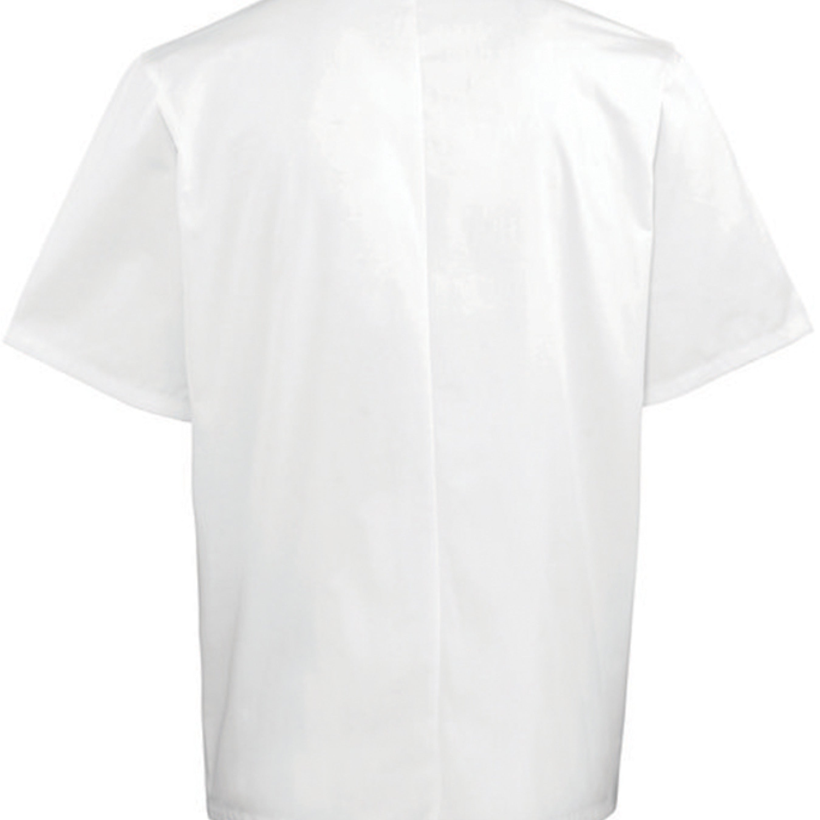 WHITE - BACK